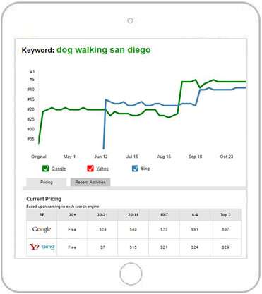 seo service graph