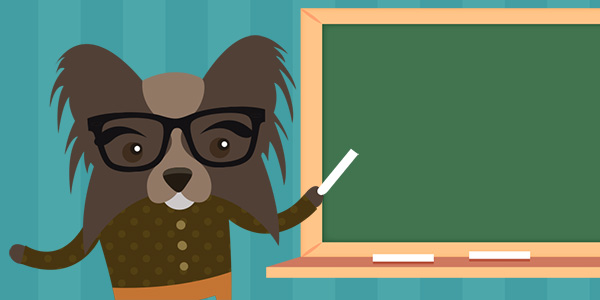 why-is-seo-important-thumbnail