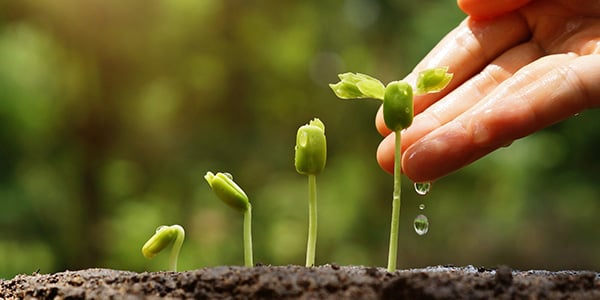 b2b lead nurturing thumbnail