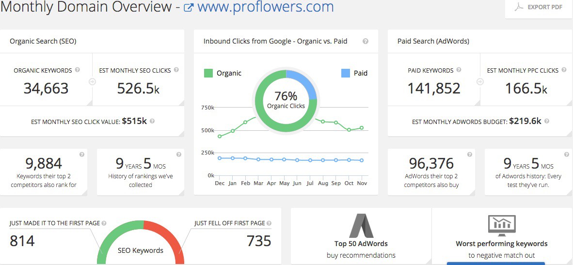 SpyFu SEO Analysis